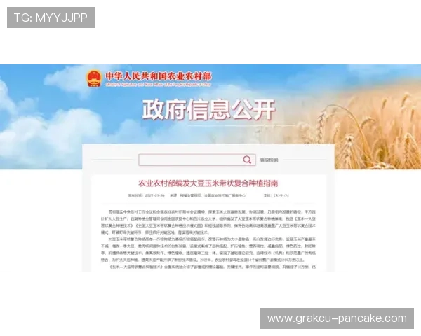 凯发网官网客服支持全天在线，解决您的各种疑问与技术难题
